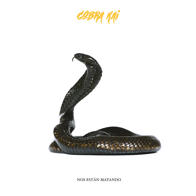 Nos están matando cover art