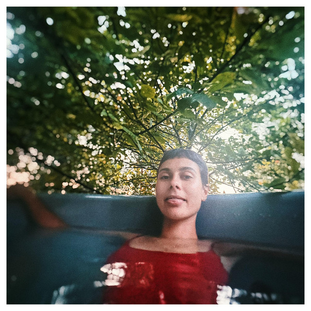 Vasara zem koka cover
