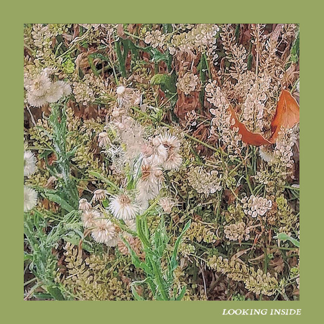 Looking Inside cover art