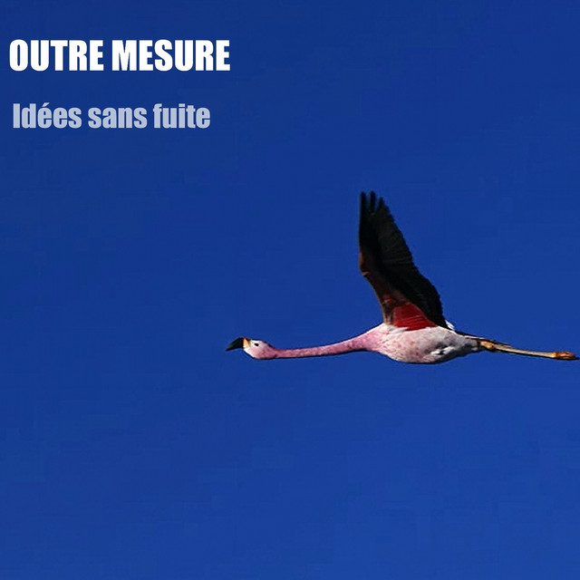 Idées sans fuite cover
