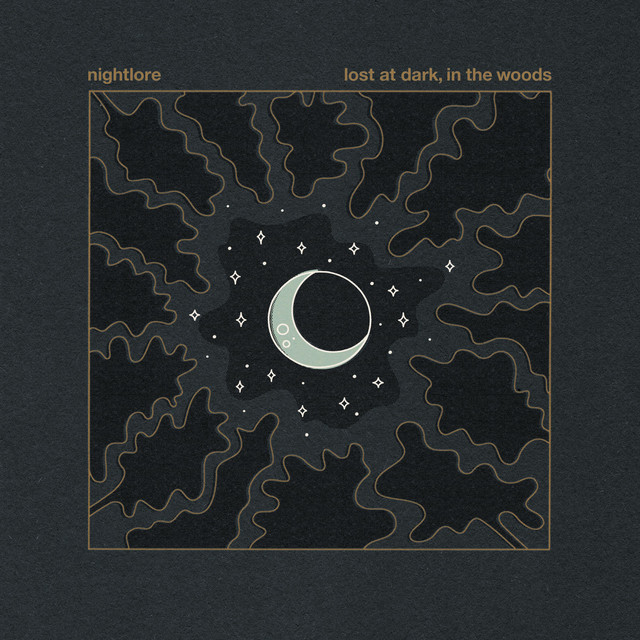 Lost at Dark, in the Woods cover art