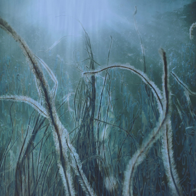 Submersion cover art