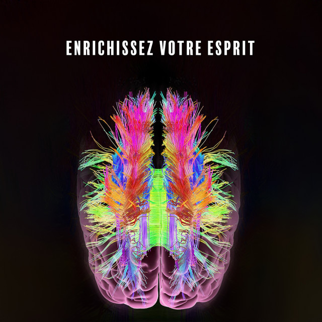 Enrichissez votre esprit: Pensez intelligemment, Assimilez mieux les informations cover art