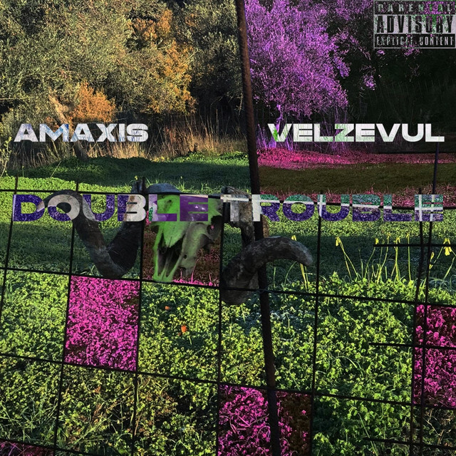 Double Trouble cover art