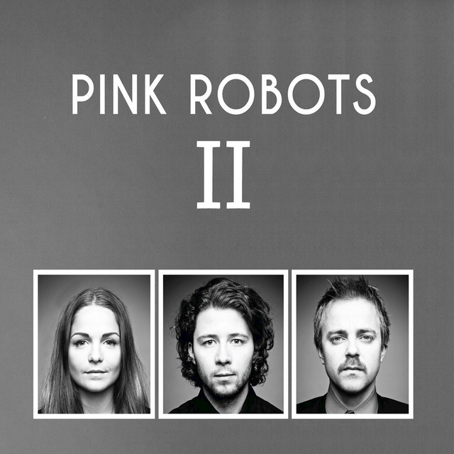 Pink Robots ll cover