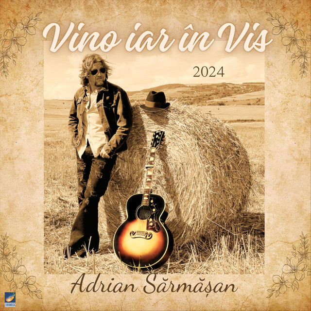 Vino iar în Vis cover art