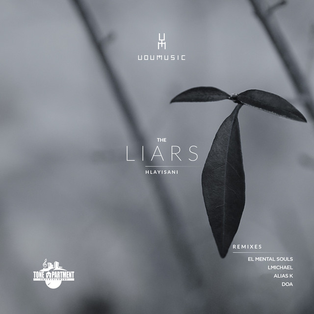 The Liars - D.O.A Remix cover art