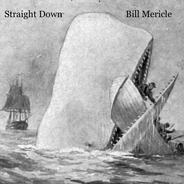 Straight Down - Album by Bill Mericle | Spotify