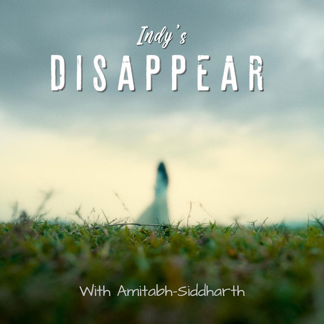 Disappear cover art