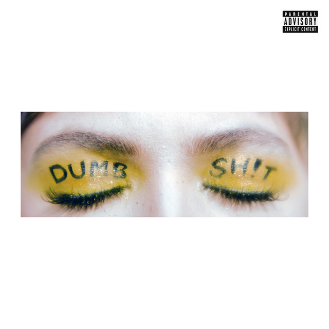 DUMB SH!T (REMIXES) cover art