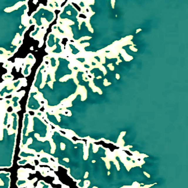 Signal Integrity cover