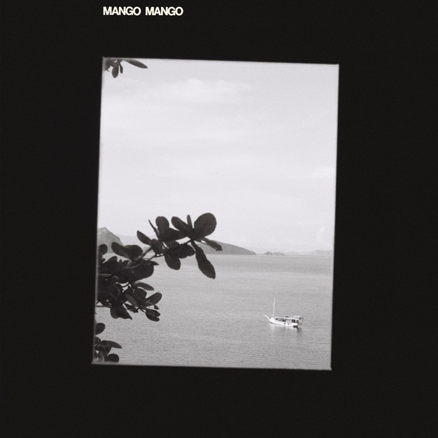 Mango Mango cover art