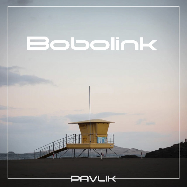 Обкладинка: Bobolink — Pavlik