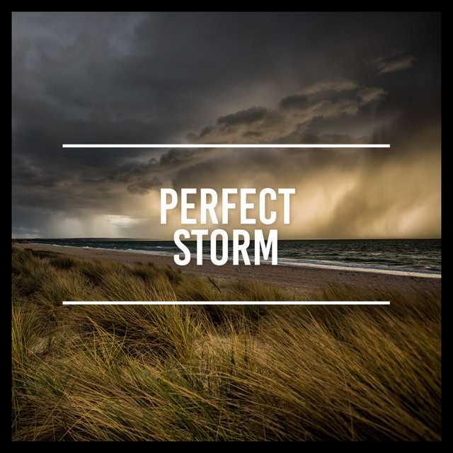 Perfect Storm cover art