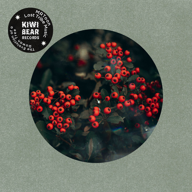 The Evolution of a Rowan Tree