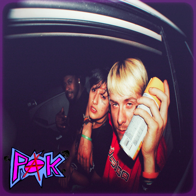 Punk.Ass.Kid.2 cover art
