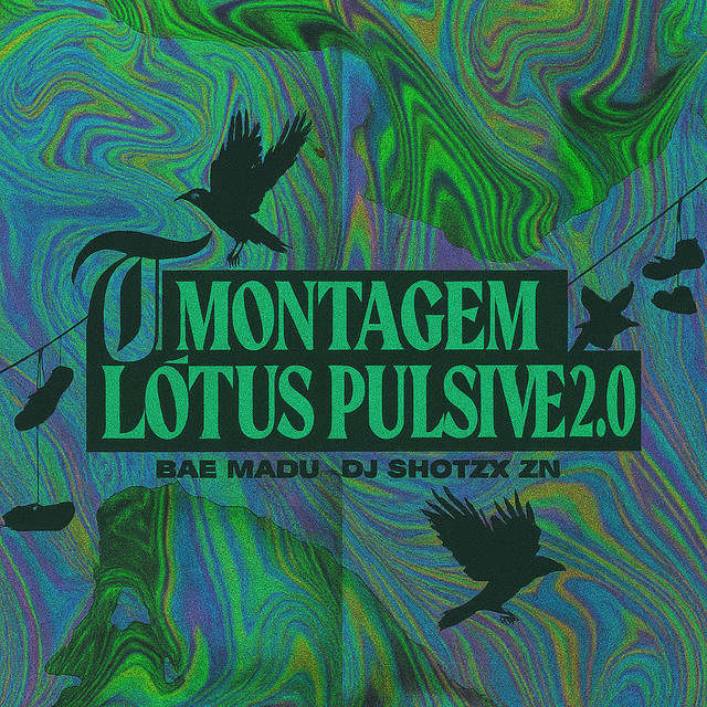 Montagem Lótus Pulsive 2.0