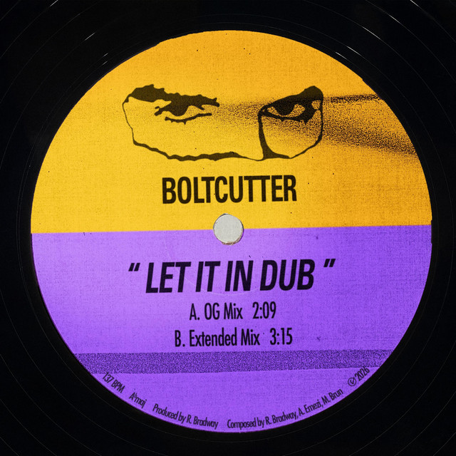 LET IT IN DUB cover