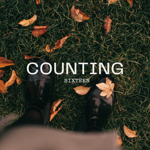 Counting cover art