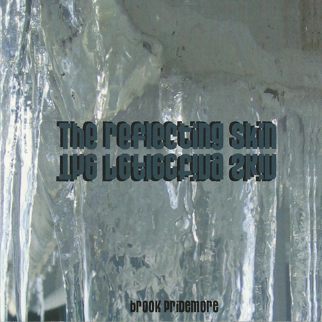 The Reflecting Skin cover art