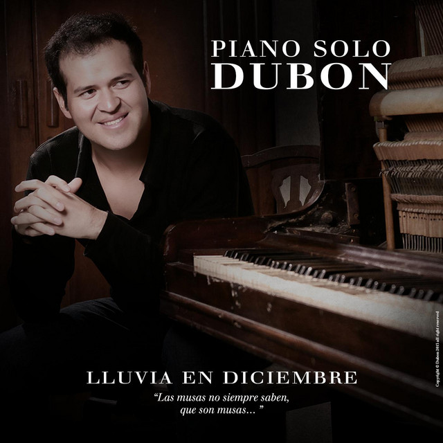 Lluvia En Diciembre cover art