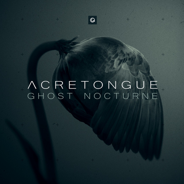 Acretongue Photo