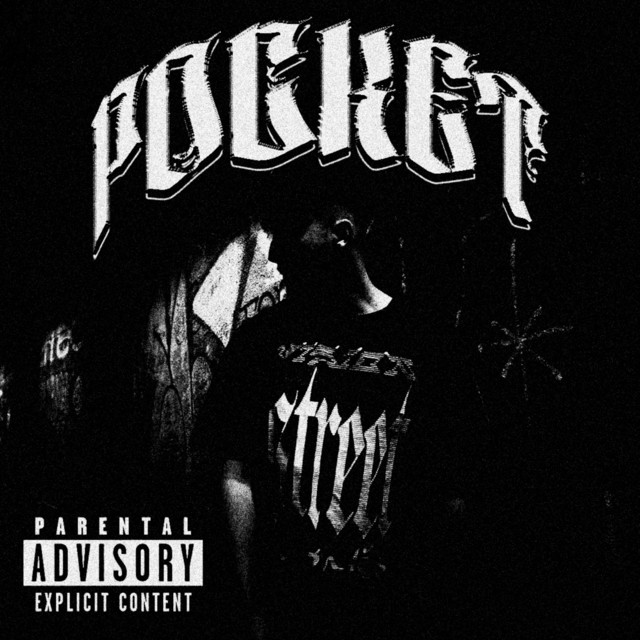 POCKET cover art