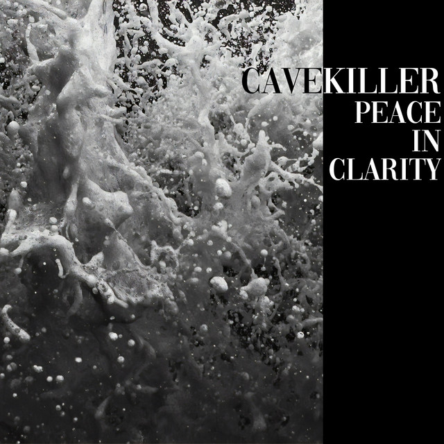 Peace In Clarity EP cover art