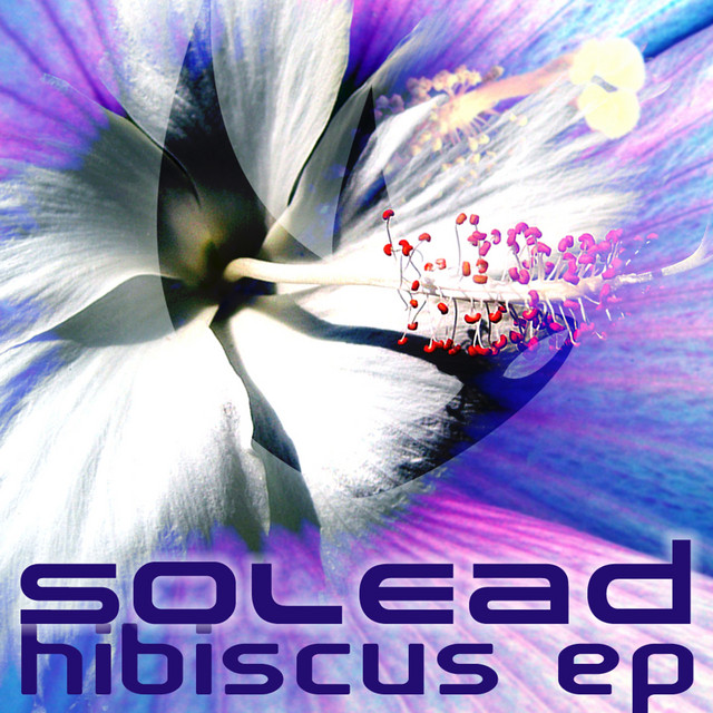 Hibiscus - D-Sens Remix cover art