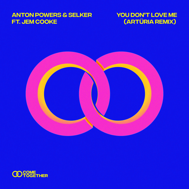 You Don't Love Me (Artüria Remix) album image