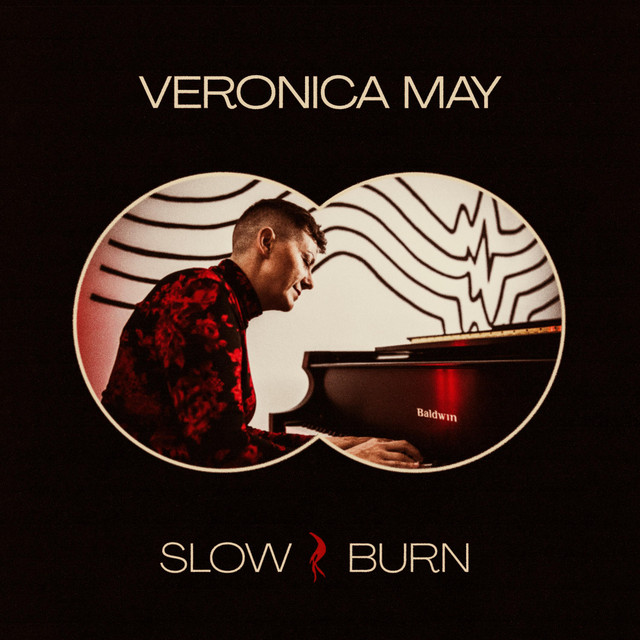 Slow Burn cover