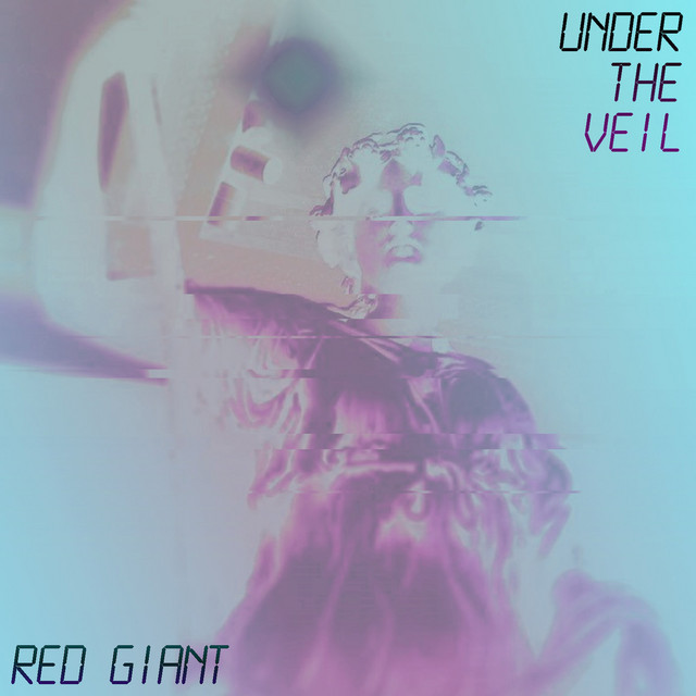 Under the veil cover art