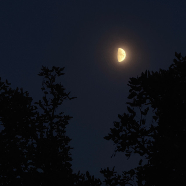 nothing but the moon album image