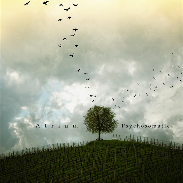 Psychosomatic cover art