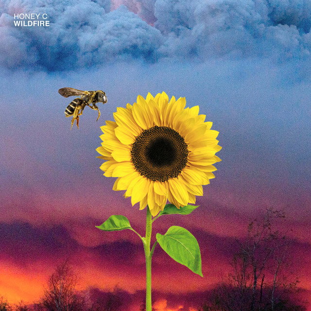 Wildfire cover art