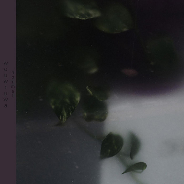Normal cover art