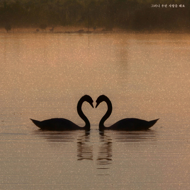 Our little island cover art