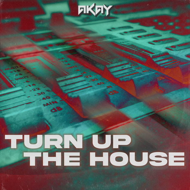 Turn Up The House