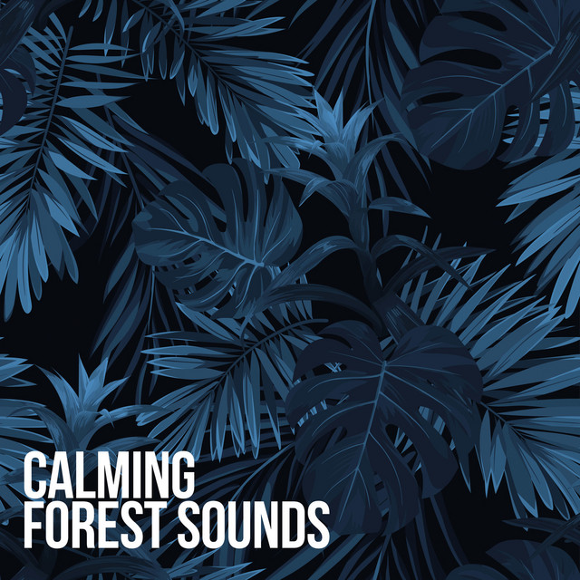Calming Forest Sounds cover art