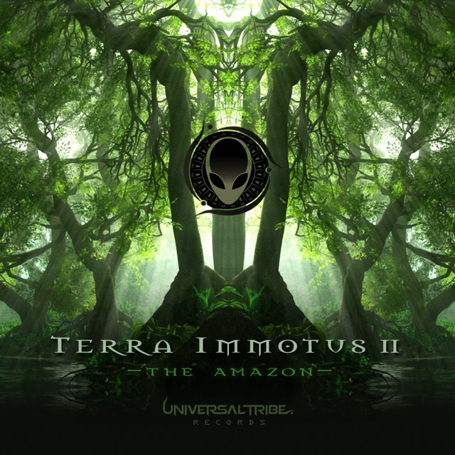 Terra Immotus 2 cover