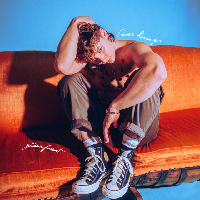 Silver Linings album image
