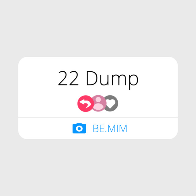 22 Dump cover art