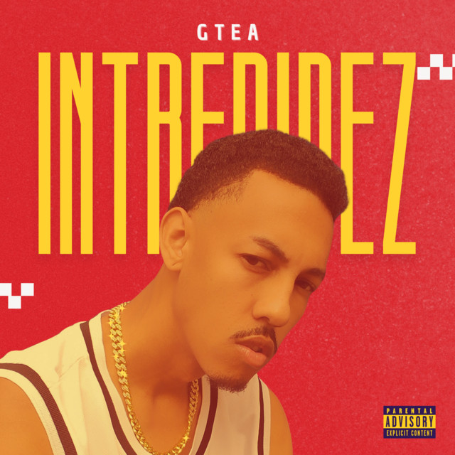 INTREPIDEZ cover art