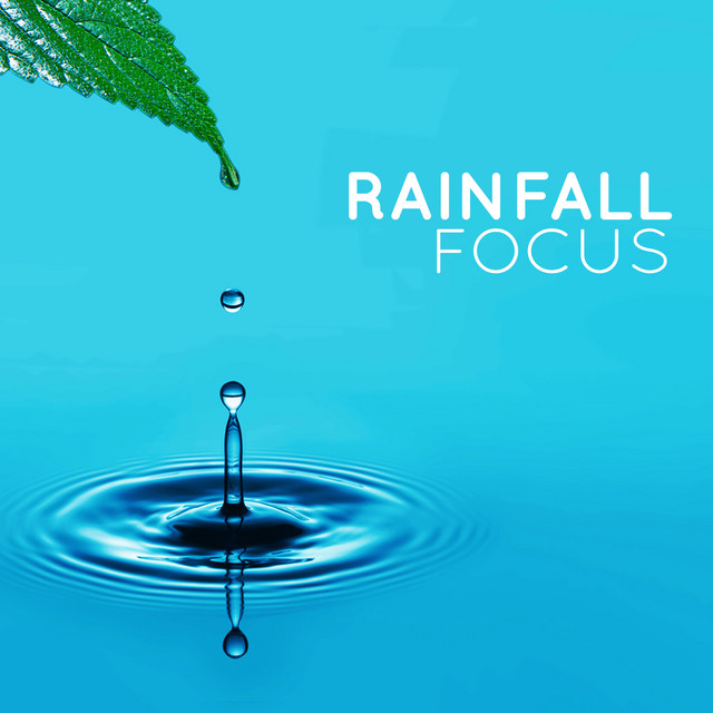 Rainfall Focus cover art