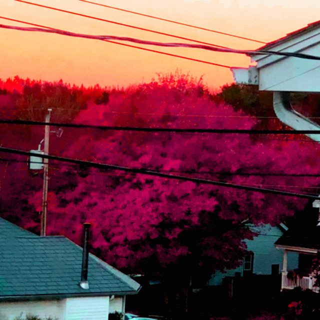 an average afternoon cover art
