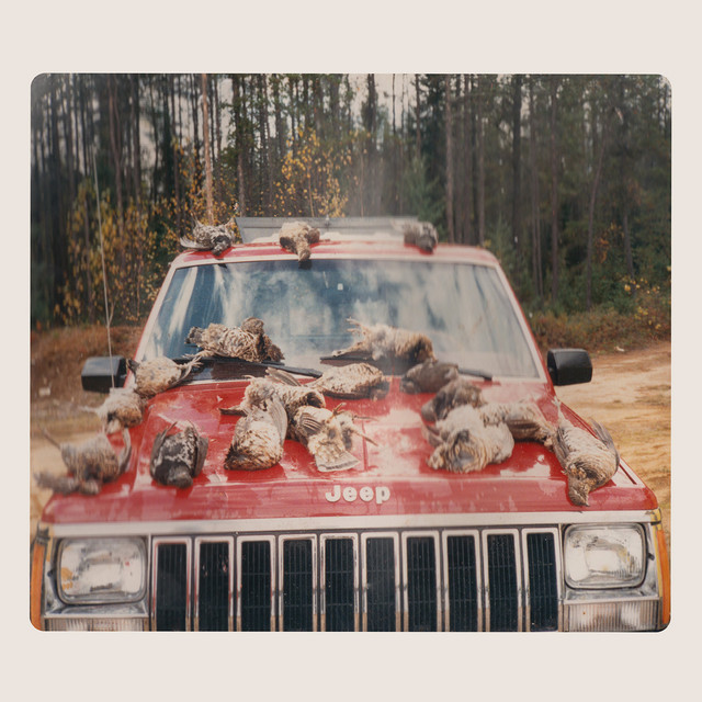 undefined album image