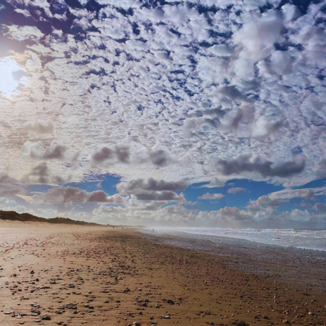 Winter Sky