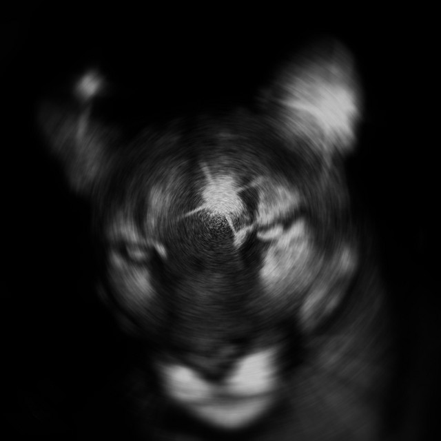 STEAL MY HEART - SLOWED