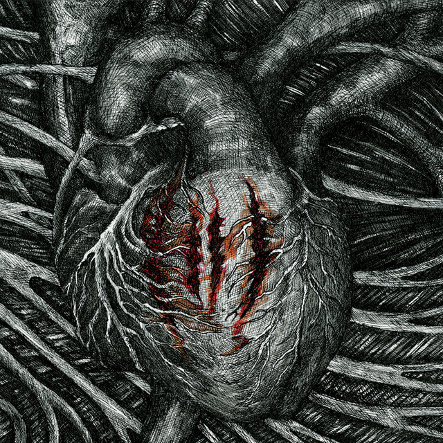 ČTYŘI ČÁRY cover art