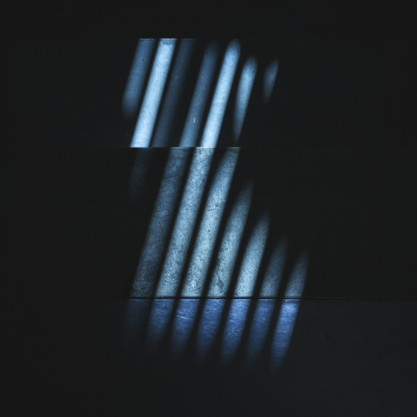 Dividing Pair cover art